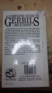A Complete Guide to Gerbils