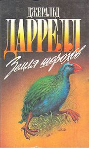 Земля Шорохов