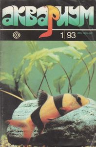 Аквариум 1/93