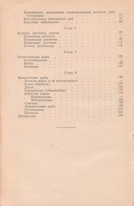 Комнатный Аквариум