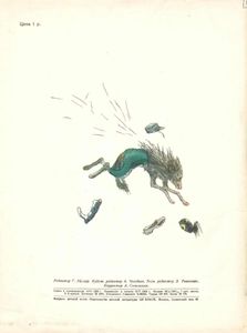 Акула, гиена и волк