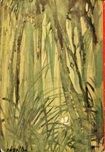 The Jungle Book