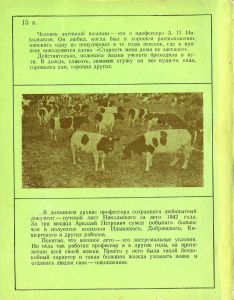 Профессор А. П. Никольский