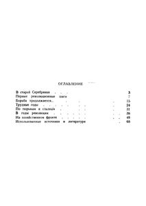 Рабочий командир Василий Сивилев