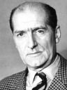 Юрий Полиенович Мезерницкий