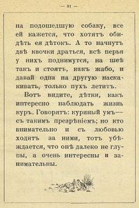 Куры