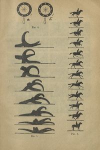 Кинематографъ ("живая фотографiя"). Его происхожденiе, устройство, современное и будущее общественное и научное значенiе / Кинематограф (живая фотография)