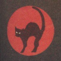 Черная кошка