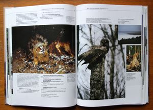 Treasures of Belarusian Nature