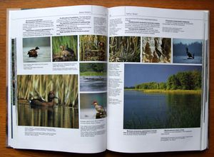 Treasures of Belarusian Nature