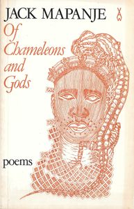 Of Chameleons and Gods