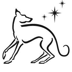 Orion