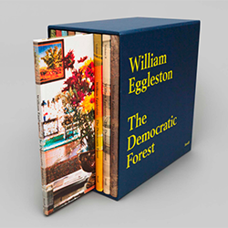 The Democratic Forest