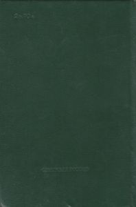 В Лесах. Книга Вторая.