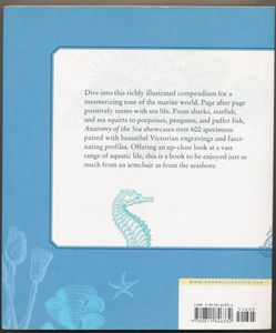 The Anatomy of the Sea: Over 600 Creatures of the Deep