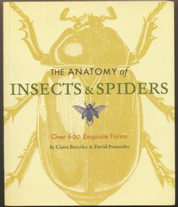 The Anatomy of Insects & Spiders: Over 600 Exquisite Forms