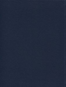Полное собрание произведений в 20 томах. Том 3. Стихотворения 1927-первая половина 1928