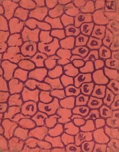 Что ни страница - то слон, то львица