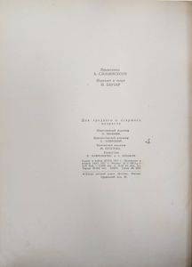 Ревизор