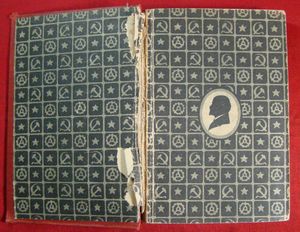 Сочинения. Том 30. Дополнительный. 1899 - 1921