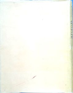 Ревизор