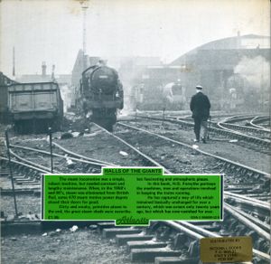 Steam Shed Portrat