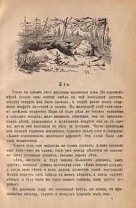 Полное собранiе сказокъ Андерсена. Томъ 1 / Полное собрание сказок Андерсена