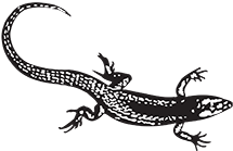 Vintage Crime/Black Lizard