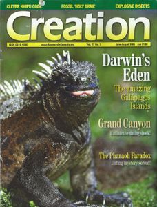Creation (June-August 2005)