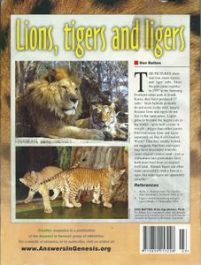 Creation (June-August 2005)