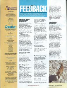 Creation (June-August 2005)