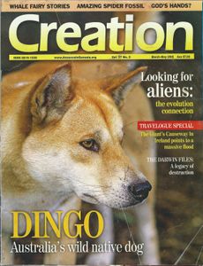 Creation (March-May 2005)