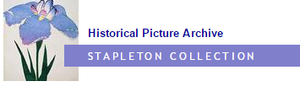 Stapleton Collection