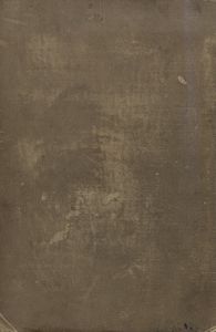 Adventures of Huckleberry Finn (Tom Sawyer's Comrade)