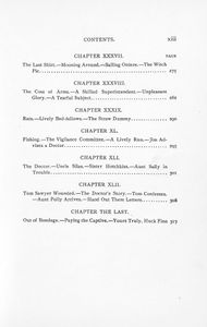 Adventures of Huckleberry Finn (Tom Sawyer's Comrade)