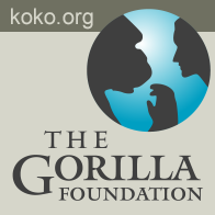 The Gorilla Foundation
