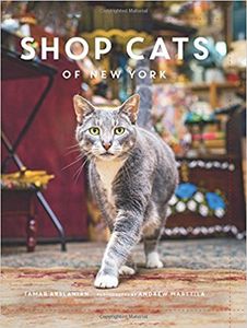 Shop Cats Of New York