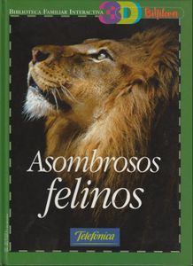 Asombrosos Felinos