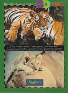 Asombrosos Felinos