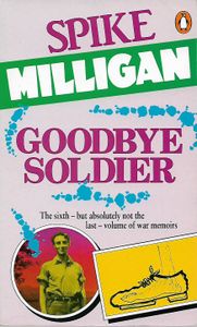 Goodbye Soldier