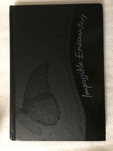 Impossible Encounters: A Mosaic Novel