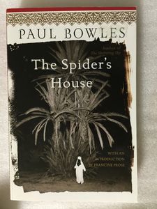 The Spider's House
