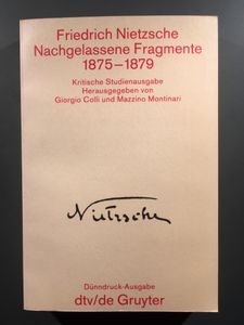 Nachgelassene Fragmente 1875-1879