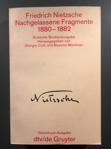 Nachgelassene Fragmente 1880-1882