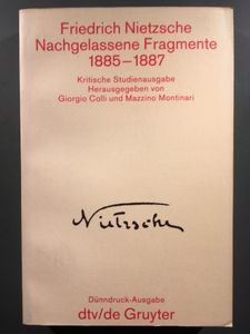 Nachgelassene Fragmente 1886-1887