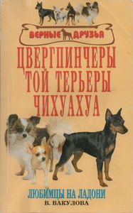 Цвергпинчеры. Той Терьеры. Чихуахуа. Любимцы На Ладони.