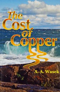 The Cost of Copper