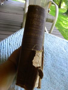 Curiosities of the Bible