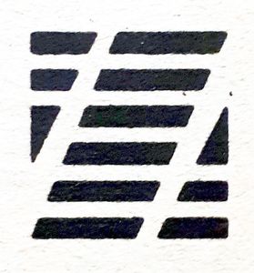 Zebra Books