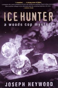 Ice Hunter (A Woods Cop Mystery)